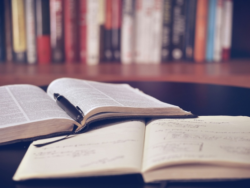 Zukunft gestalten mit einem Master in Sustainability Management