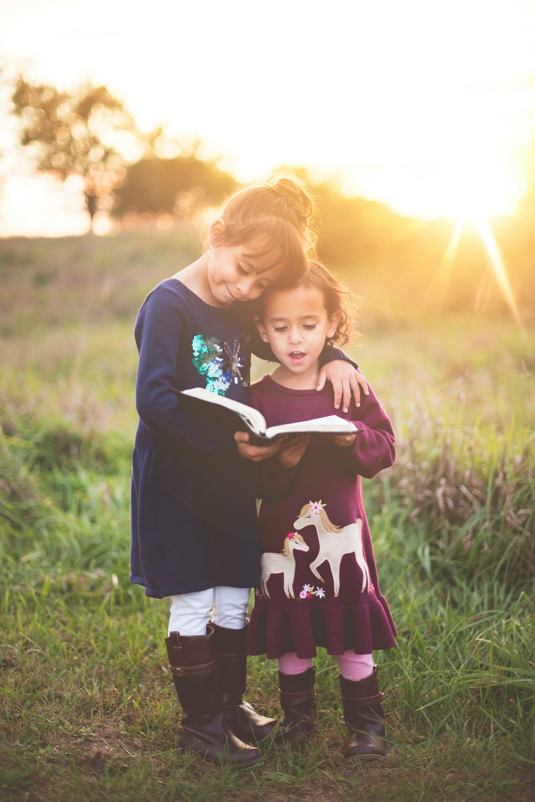 5 Unvergessliche Kinderbücher für 6-Jährige: Lesespaß Garantiert