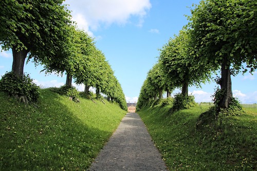 Gartenhäcksler: Eine nachhaltige Lösung für Gartenabfälle