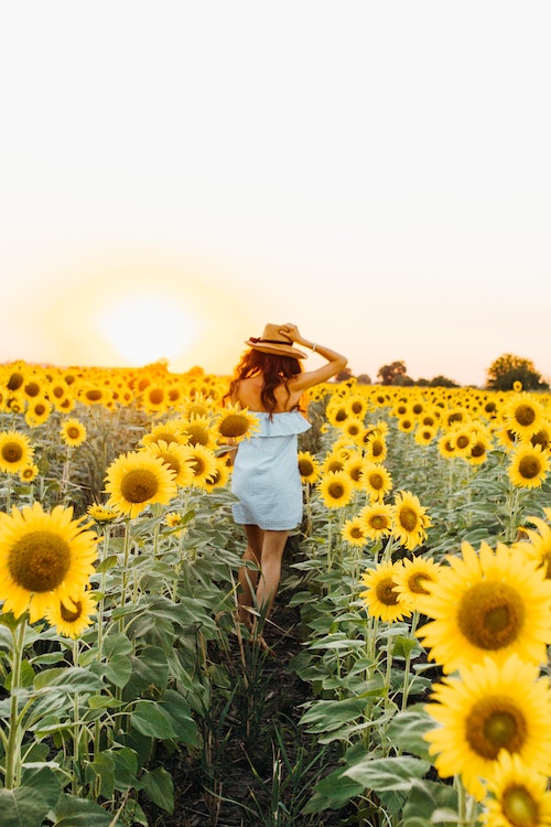Happiness Bundle – Jeden Tag fröhlich sein: Erfahrungen, Kosten und Infos 2021